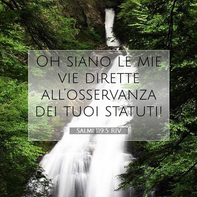 Salmi 119:5 RIV Immagine del Versetto della Bibbia