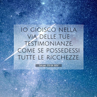 Salmi 119:14 RIV Immagine del Versetto della Bibbia