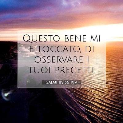 Salmi 119:56 Versetto della Bibbia Spiegato