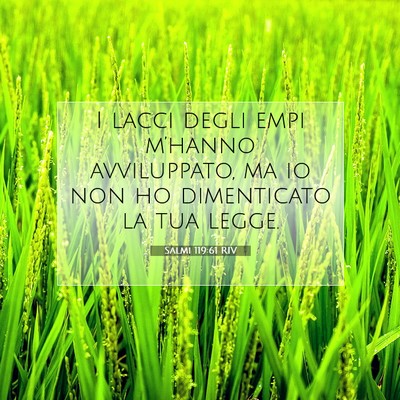 Salmi 119:61 Versetto della Bibbia Spiegato