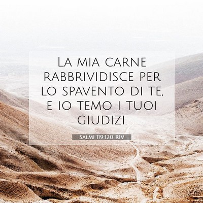 Salmi 119:120 Versetto della Bibbia Spiegato