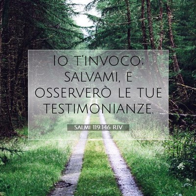 Salmi 119:146 Versetto della Bibbia Spiegato