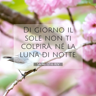 Salmi 121:6 Versetto della Bibbia Spiegato