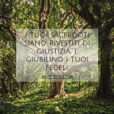 Salmi 132:9 Versetto della Bibbia Spiegato