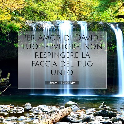 Salmi 132:10 Versetto della Bibbia Spiegato