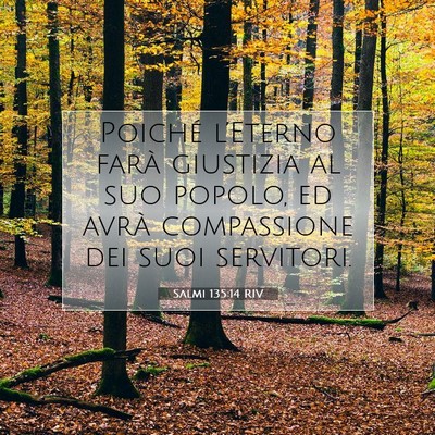 Salmi 135:14 Versetto della Bibbia Spiegato