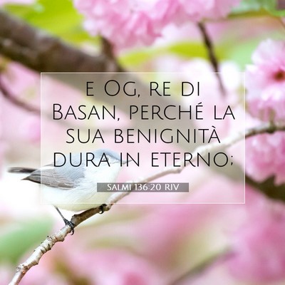 Salmi 136:20 Versetto della Bibbia Spiegato