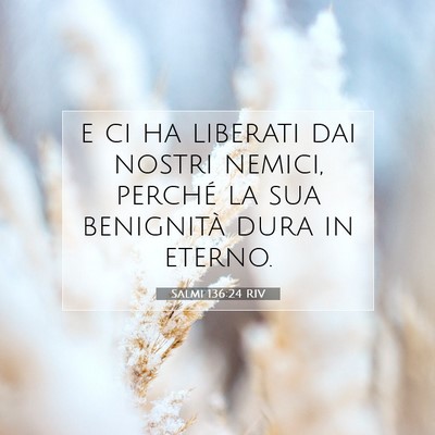 Salmi 136:24 Versetto della Bibbia Spiegato