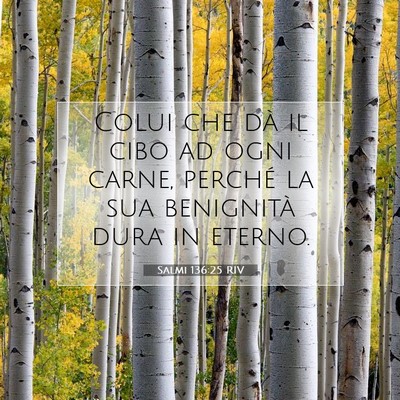 Salmi 136:25 Versetto della Bibbia Spiegato