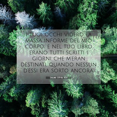 Salmi 139:16 Versetto della Bibbia Spiegato