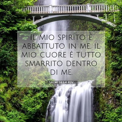 Salmi 143:4 RIV Immagine del Versetto della Bibbia