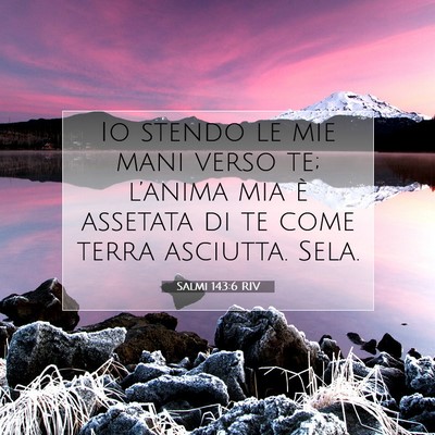 Salmi 143:6 RIV Immagine del Versetto della Bibbia