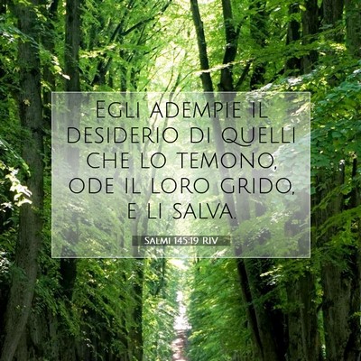 Salmi 145:19 RIV Immagine del Versetto della Bibbia