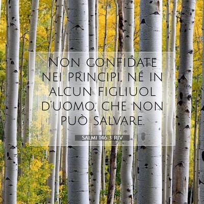 Salmi 146:3 RIV Immagine del Versetto della Bibbia