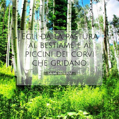 Salmi 147:9 RIV Immagine del Versetto della Bibbia