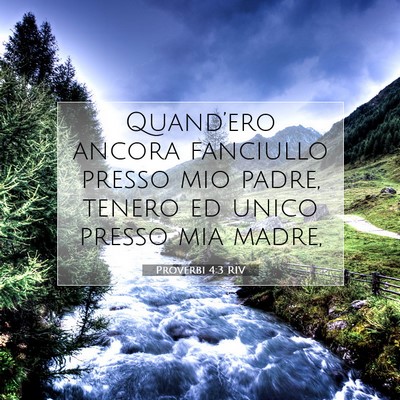 Proverbi 4:3 Versetto della Bibbia Spiegato