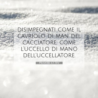 Proverbi 6:5 RIV Immagine del Versetto della Bibbia
