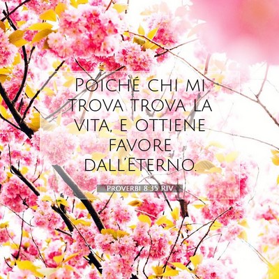 Proverbi 8:35 Versetto della Bibbia Spiegato