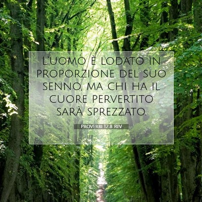 Proverbi 12:8 Versetto della Bibbia Spiegato