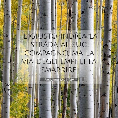 Proverbi 12:26 Versetto della Bibbia Spiegato