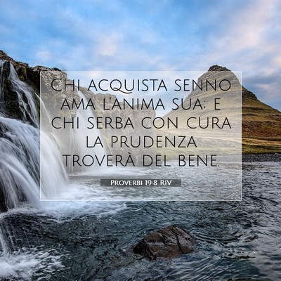 Proverbi 19:8 Versetto della Bibbia Spiegato