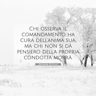 Proverbi 19:16 Versetto della Bibbia Spiegato