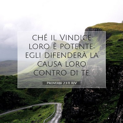 Proverbi 23:11 RIV Immagine del Versetto della Bibbia