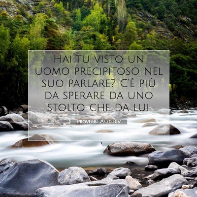 Proverbi 29:20 Versetto della Bibbia Spiegato