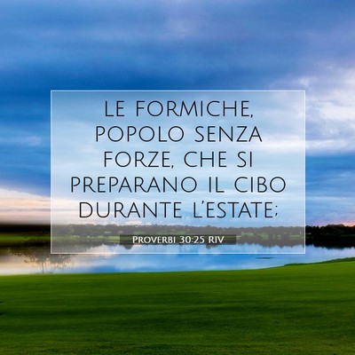 Proverbi 30:25 RIV Immagine del Versetto della Bibbia