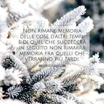 Ecclesiaste 1:11 Versetto della Bibbia Spiegato