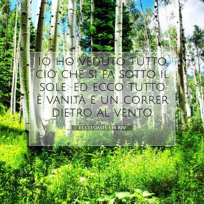 Ecclesiaste 1:14 Versetto della Bibbia Spiegato