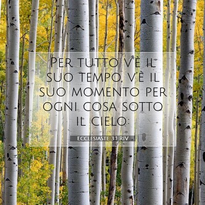 Ecclesiaste 3:1 Versetto della Bibbia Spiegato