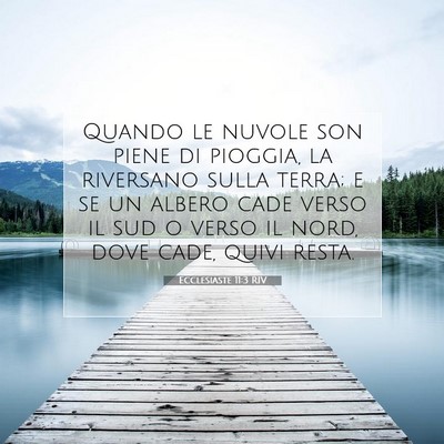 Ecclesiaste 11:3 RIV Immagine del Versetto della Bibbia