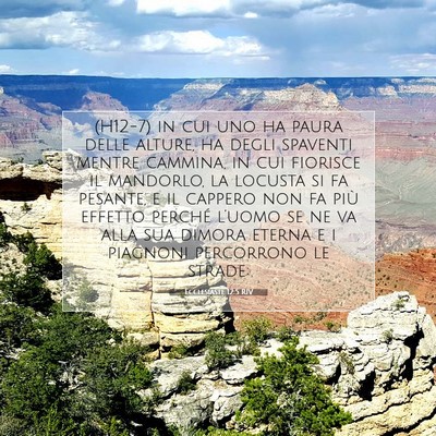 Ecclesiaste 12:5 RIV Immagine del Versetto della Bibbia