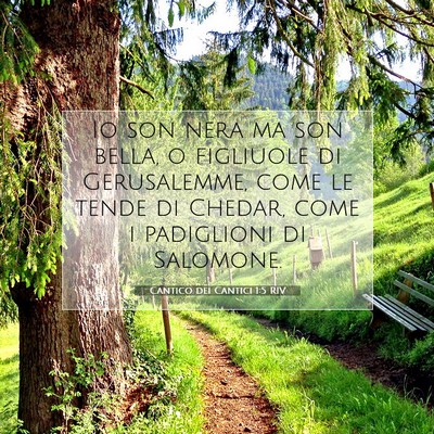 Cantico dei Cantici 1:5 Versetto della Bibbia Spiegato