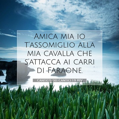 Cantico dei Cantici 1:9 Versetto della Bibbia Spiegato