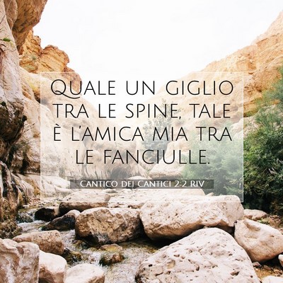 Cantico dei Cantici 2:2 Versetto della Bibbia Spiegato