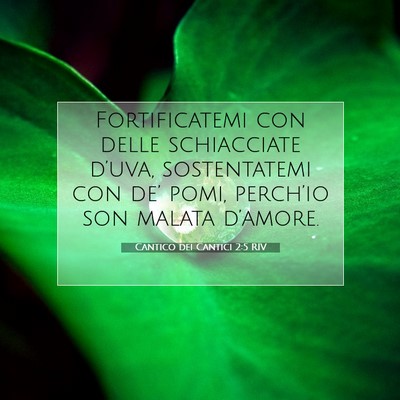 Cantico dei Cantici 2:5 Versetto della Bibbia Spiegato