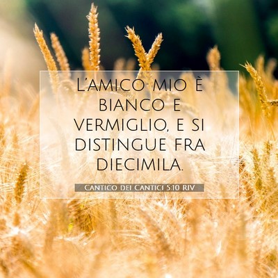 Cantico dei Cantici 5:10 Versetto della Bibbia Spiegato