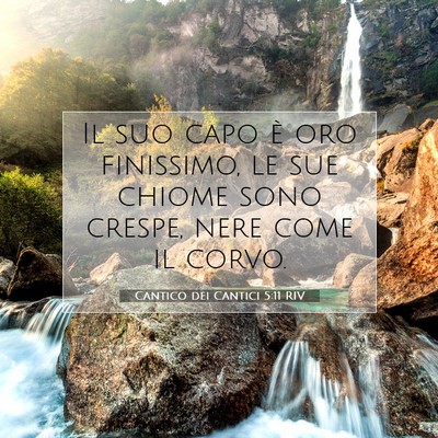 Cantico dei Cantici 5:11 Versetto della Bibbia Spiegato