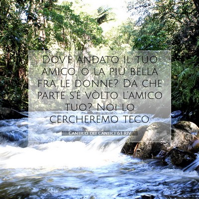 Cantico dei Cantici 6:1 Versetto della Bibbia Spiegato