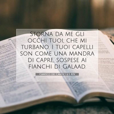 Cantico dei Cantici 6:5 RIV Immagine del Versetto della Bibbia