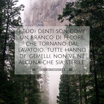 Cantico dei Cantici 6:6 Versetto della Bibbia Spiegato