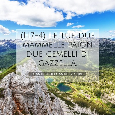 Cantico dei Cantici 7:3 Versetto della Bibbia Spiegato
