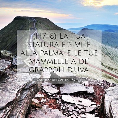Cantico dei Cantici 7:7 RIV Immagine del Versetto della Bibbia