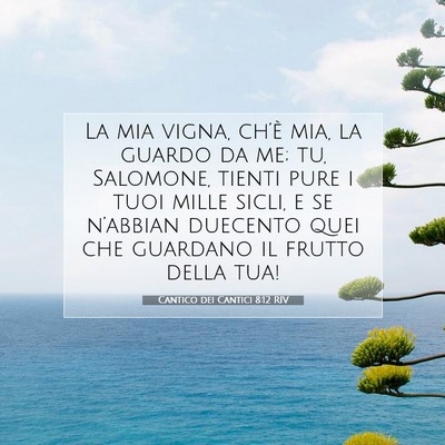 Cantico dei Cantici 8:12 Versetto della Bibbia Spiegato
