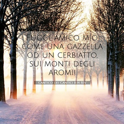 Cantico dei Cantici 8:14 Versetto della Bibbia Spiegato