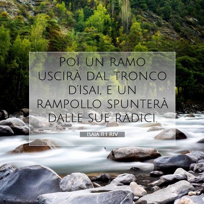 Isaia 11:1 RIV Immagine del Versetto della Bibbia