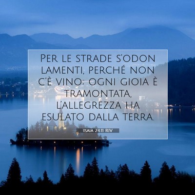 Isaia 24:11 RIV Immagine del Versetto della Bibbia