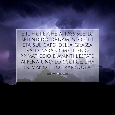 Isaia 28:4 RIV Immagine del Versetto della Bibbia